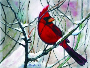 card-nami_11118.jpg