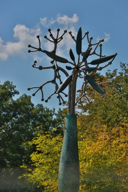 Shaw Park