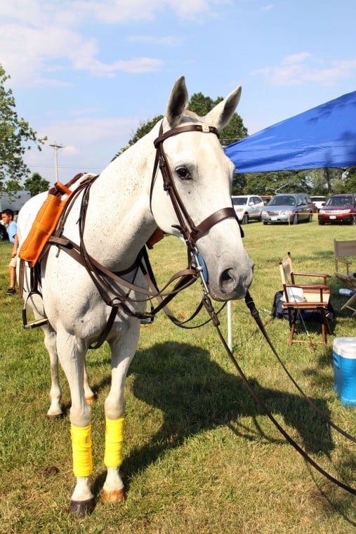Epworth's 17th Annual Charity Polo Match