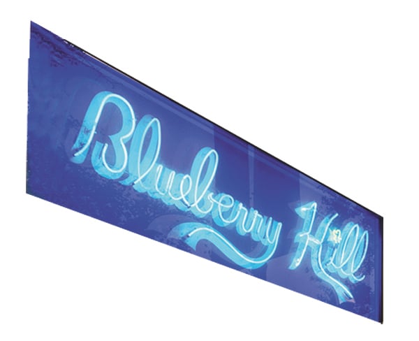 spicy-blueberry_0413.jpg