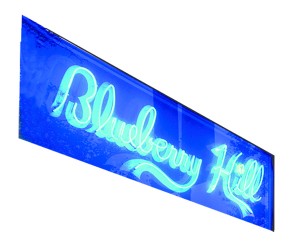 spicy-blueberry_0413.jpg