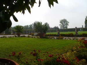 Garden2