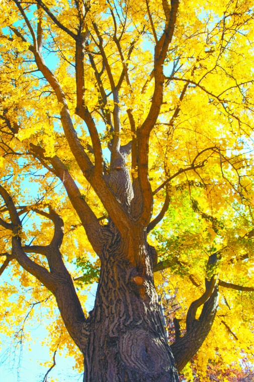 landscape_0217.jpg