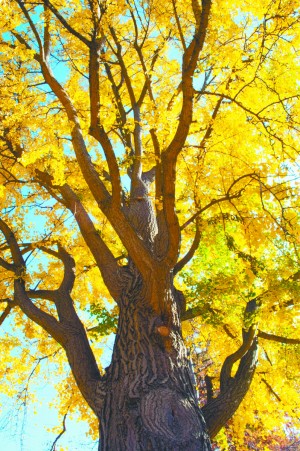 landscape_0217.jpg