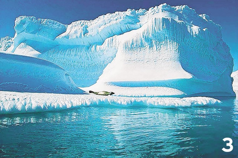 ST3_Nature_0921.jpg