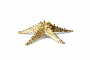 7 Aerin_Thick Starfish.jpg