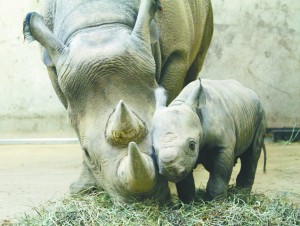 lips-zoo_0120.jpg