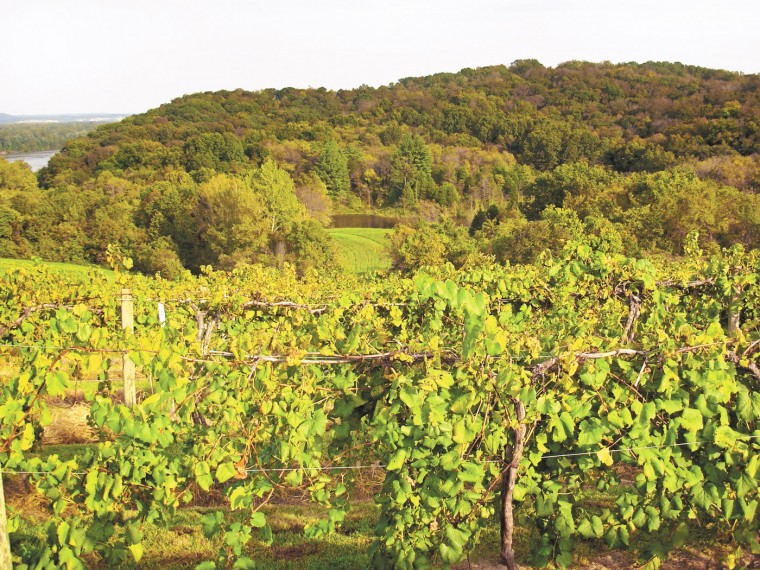 winef-OakGlenn_0727.jpg