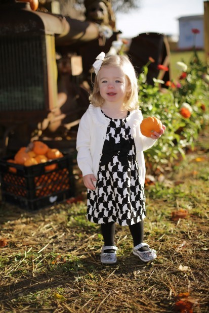 pumpkin2