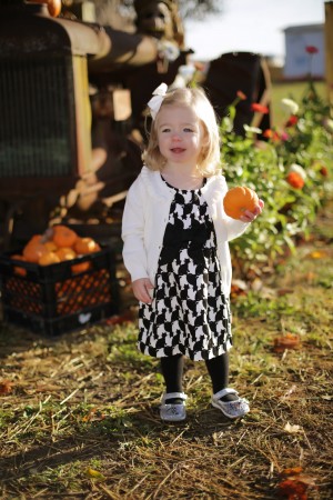 pumpkin2