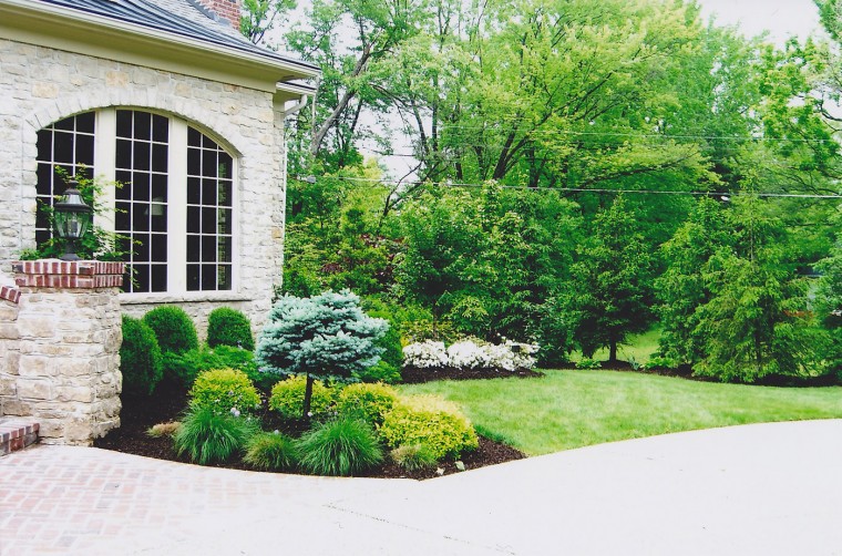 dp1-outdoor1_0831.jpg
