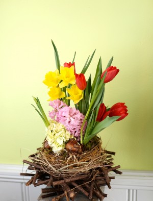 Spring Party Flowers by Ladue Florist