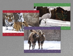 ZooHolidayCard2012