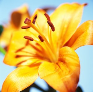 0308_health1