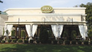 brio.jpg