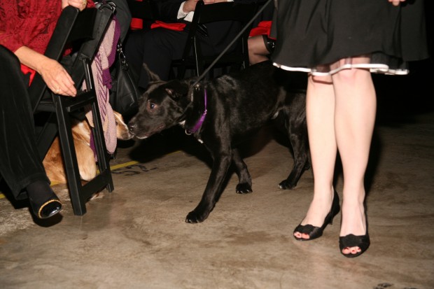 15th Annual Hope for the Holidays Gala