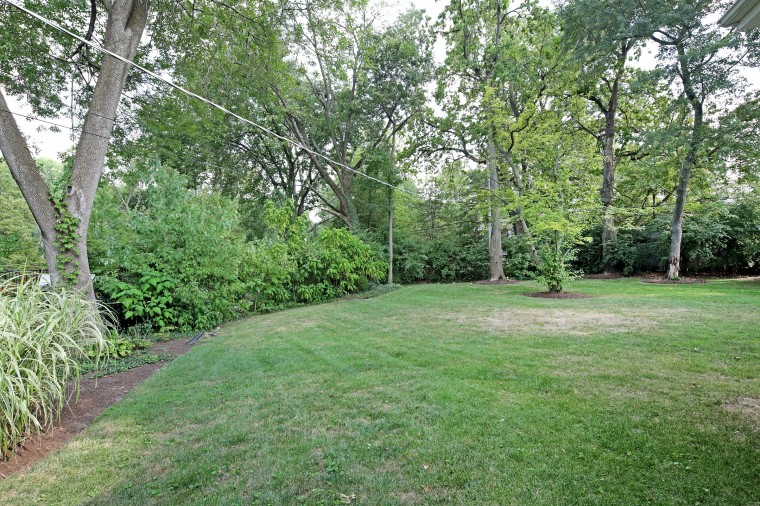 dp-yard2_0921.jpg