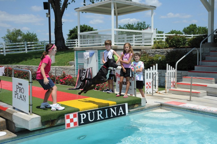 lil7-PurinaFarm1_0525.jpg