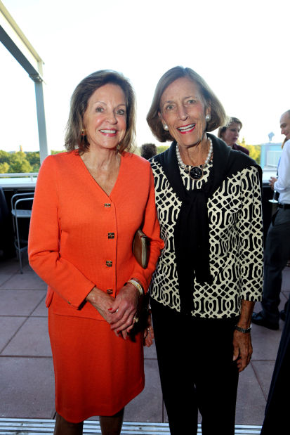 Mayor Slay Honors Citys Progress in Animal Welfare On the Moonrise Hotel Rooftop