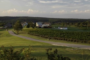 Chaumette Vineyard