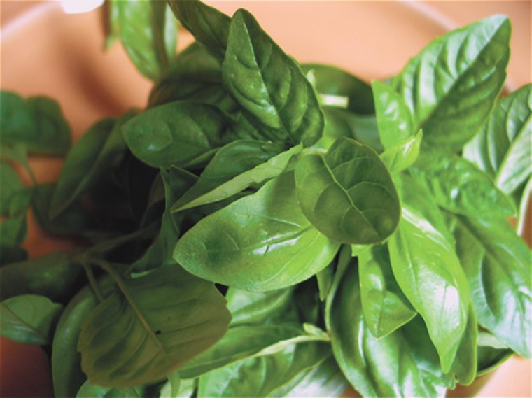 spicy_Basil_0706.jpg