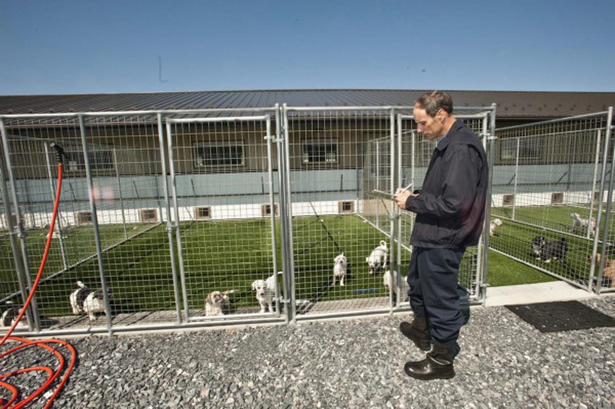 Animal Health Dog Kennels Animal Health Dog Kennels