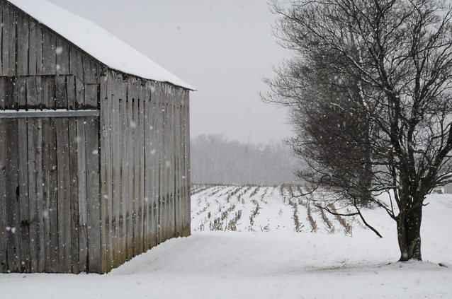 What to have in your car when Mother Nature calls for a Weather Alert Day