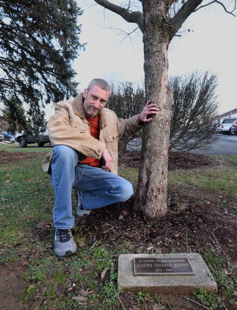 Manheim Central alumnus looks to save trees memorializing ... - LancasterOnline