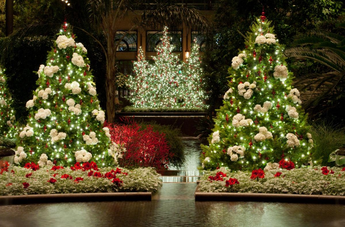 longwood gardens opens its popular christmas display on christmas topiaries