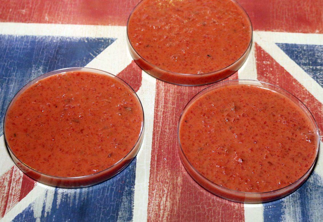 Savory science Recipes from the Quips Pub laboratory Sponsored