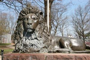 Design Intervention: Lions take over downtown Lancaster buildings