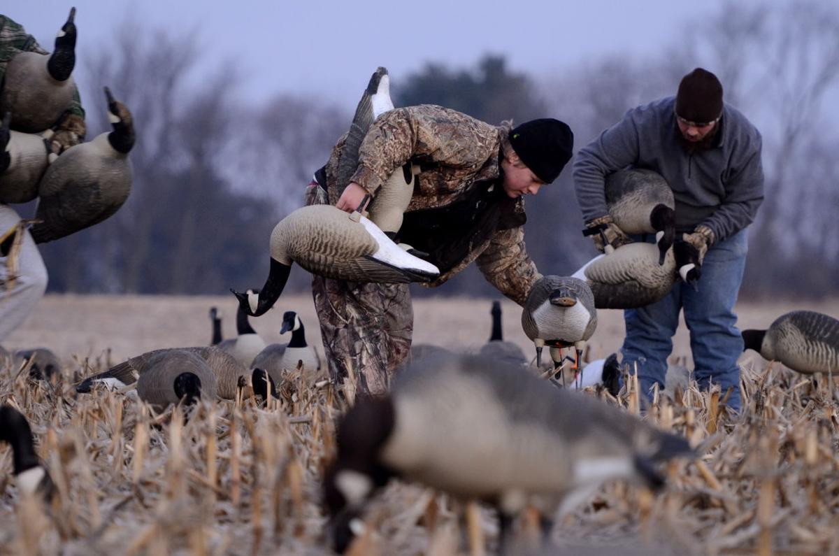 canada goose hunting season pennsylvania canada goose hunting season pennsylvania