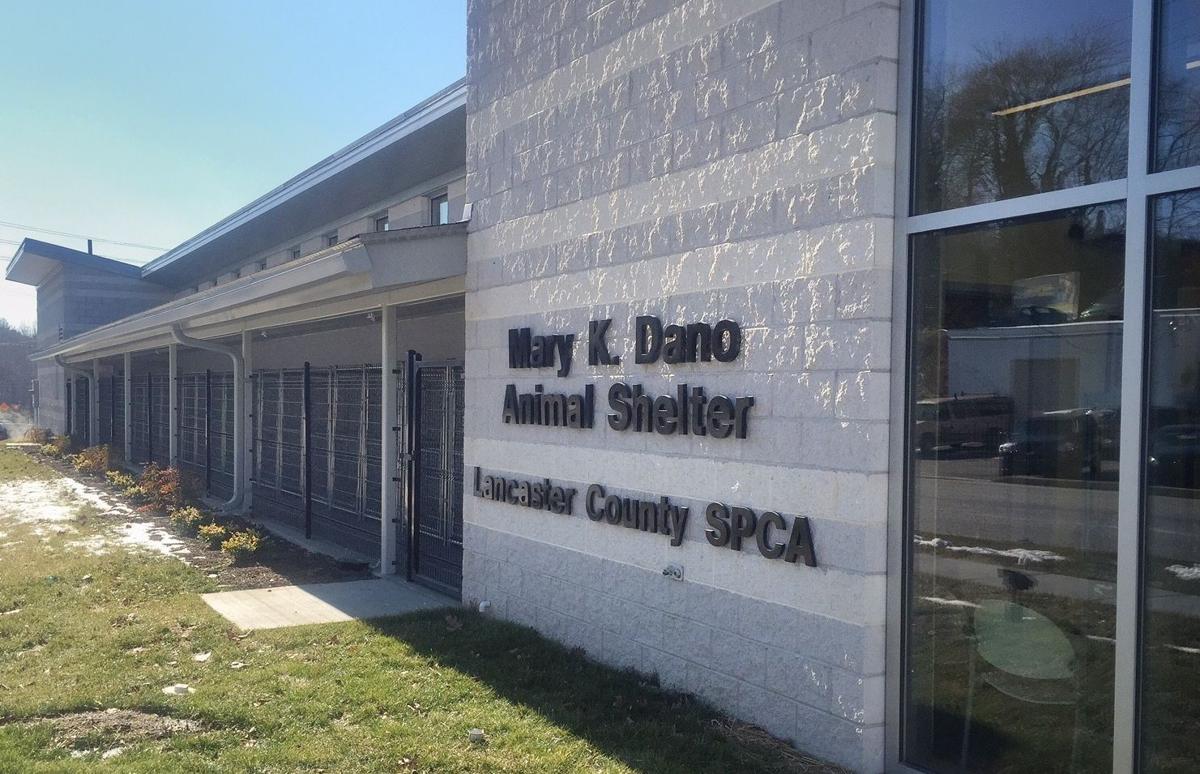 Lancaster plans to sell new shelter to SPCA Local News
