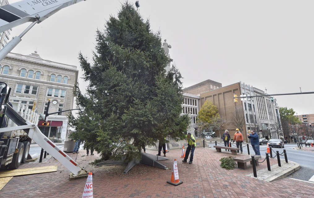lancaster city seeking christmas tree donation local lancaster city seeking christmas tree donation local