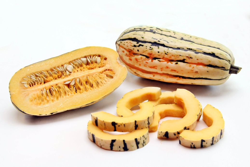 delicata squash