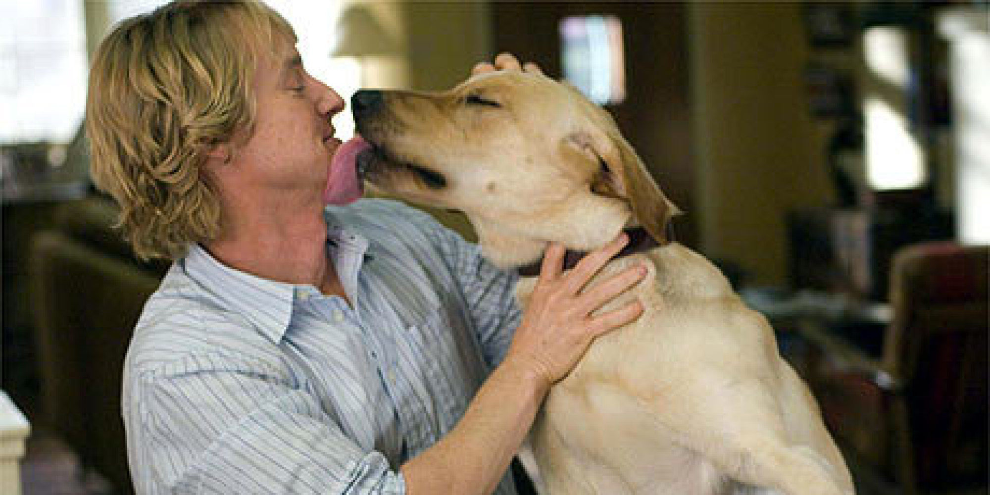 'Benji' turns 40: The top 5 highest-grossing dog movies of all time