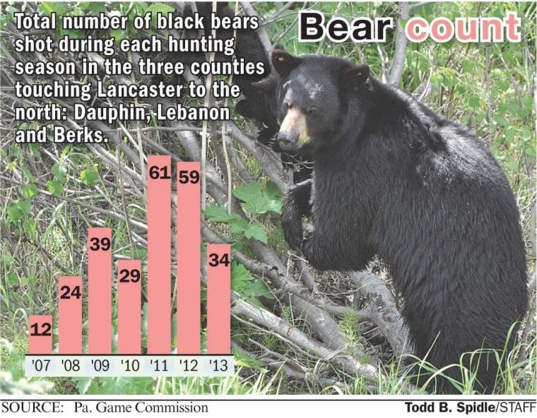 Black bears are expanding their range in Pennsylvania; Lancaster County