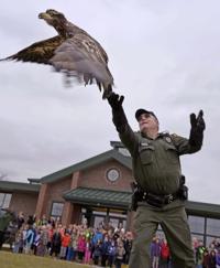 This time, poisoned bald eagle found on Lancaster County farm lives to fly again