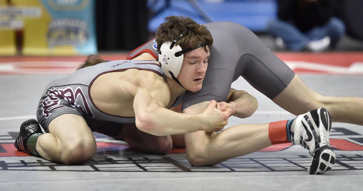 Manheim Central’s Zeamer, Warwick’s Stewart advance to PIAA Class 3A wrestling quarterfinals