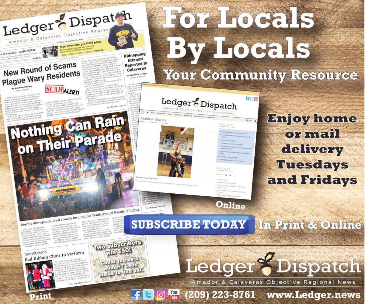 ledger.news Its mighty branches touch us all