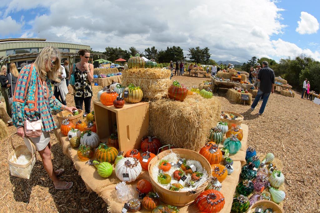 Pumpkin Patch Bites Pumpkin Patch Bites new images Pumpkin Patch Bites Pumpkin Patch Bites new pictures