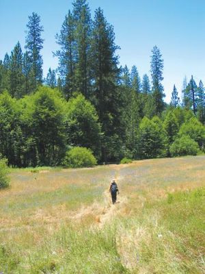 Suspending time in the Ventana Wilderness.