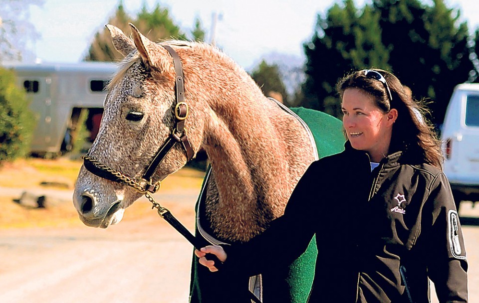 stable-manager-finds-her-niche-among-horses-at-sweet-briar-community