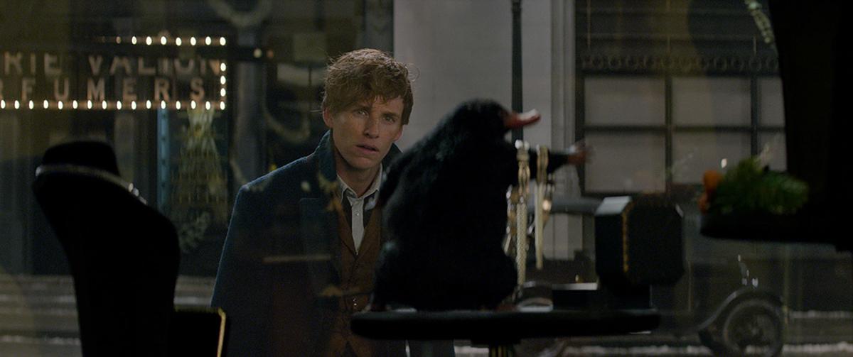 Resultado de imagem para fantastic beasts and where to find them stills