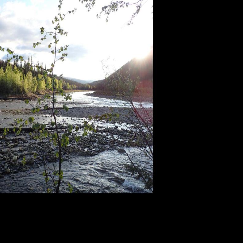 Summer solstice does not mean maximum warmth in Alaska - Fairbanks Daily News-Miner