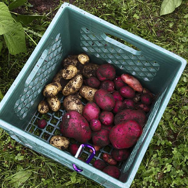 Fairbanks Community Museum