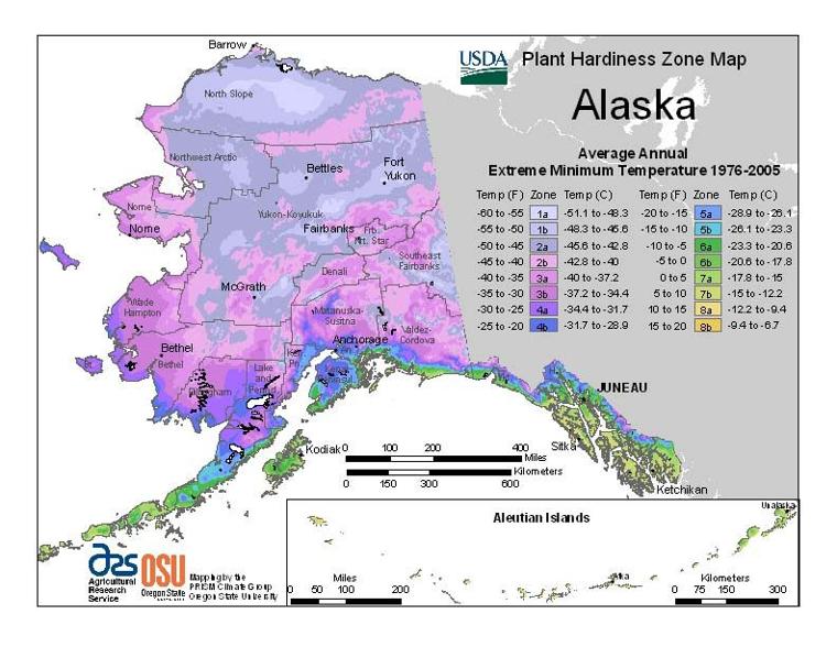What your zone won’t tell you about your Interior Alaska ... diagram of how potatoes grow 