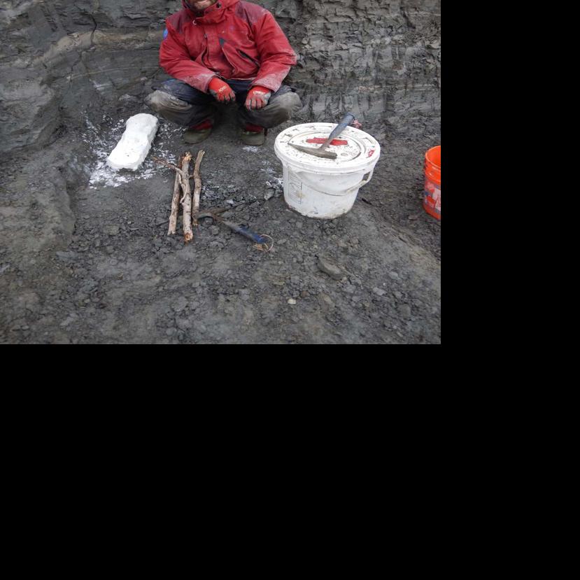New digs, new discoveries and new dinosaurs in Alaska - Fairbanks Daily News-Miner