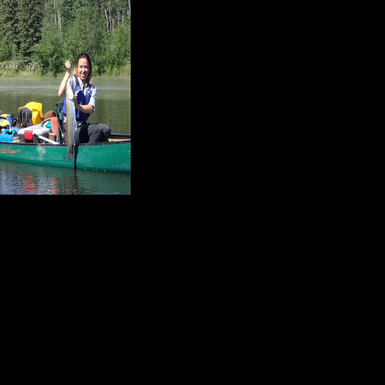 Sheefish are a shiny surprise on an Interior Alaska river - Fairbanks Daily News-Miner