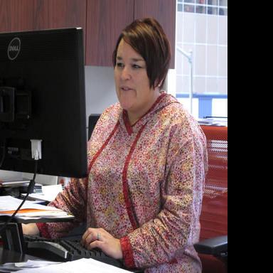 Alaska elections director: Division ready for election - Fairbanks Daily News-Miner